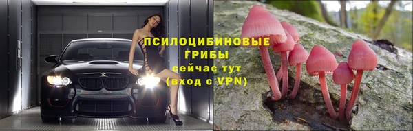 прущие крисы Белоозёрский