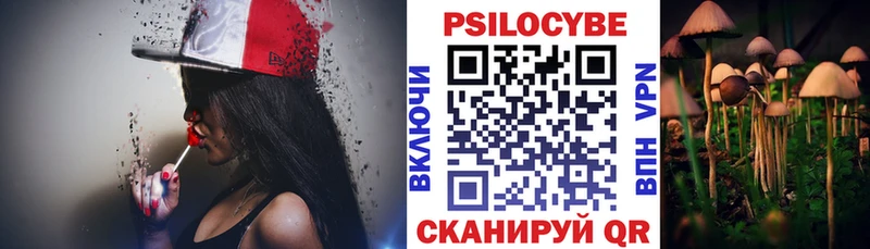 Галлюциногенные грибы Psilocybine cubensis  закладки  Черноголовка 