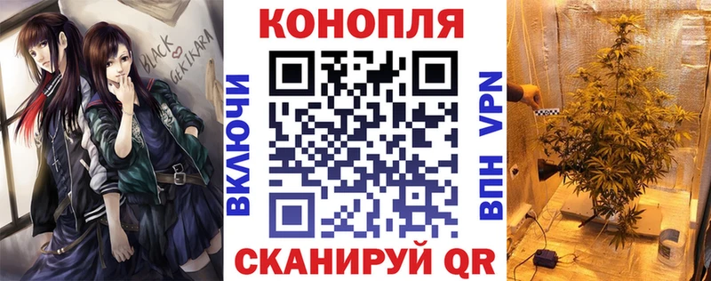 наркота  KRAKEN   Шишки марихуана сатива  Черноголовка 